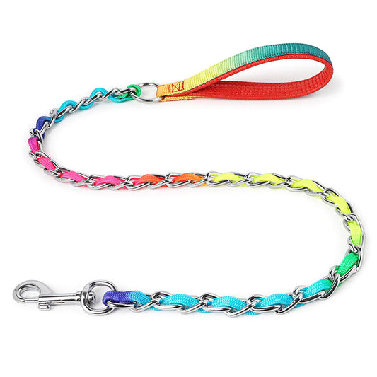 Rainbow Metal Dog Leash Chain - Small Medium Dogs, Colorful Braided