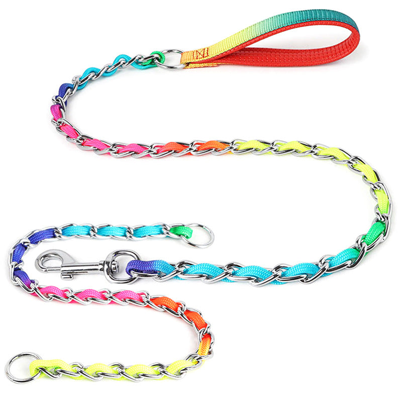 Rainbow Metal Dog Leash Chain - Small Medium Dogs, Colorful Braided