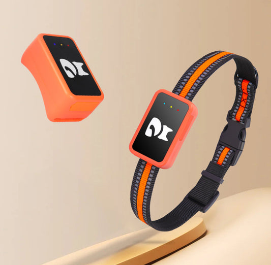 GPS Pet Tracker Collar – Real-Time Anti-Lost Locator for Dogs & Cats