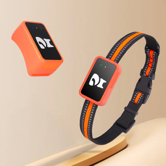 GPS Pet Tracker Collar – Real-Time Anti-Lost Locator for Dogs & Cats