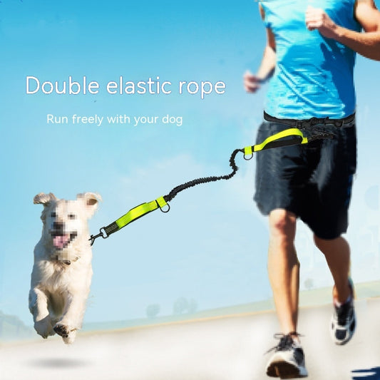 Hands-Free Running Dog Leash - Double Elastic Bungee Rope