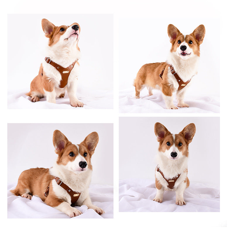 HappyPet Wholesale Soft Leather Dog Harness & Leash Set for Small & Medium Dogs