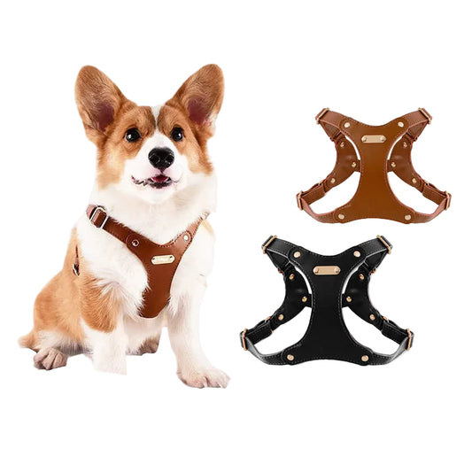 HappyPet Wholesale Soft Leather Dog Harness & Leash Set for Small & Medium Dogs