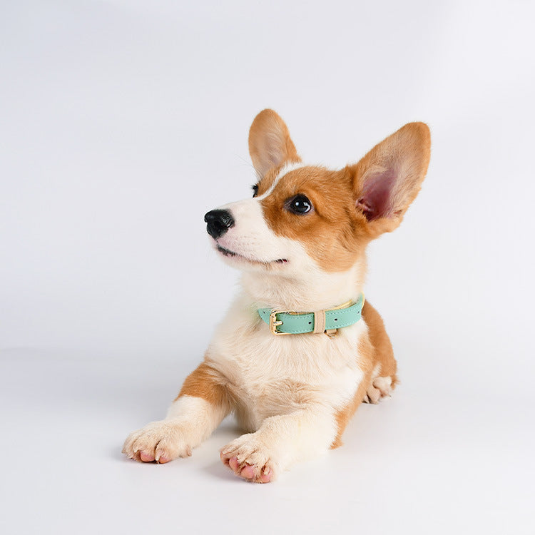 HappyPet Wholesale Genuine Leather Pet Collar & Leash Set for Small & Medium Dogs